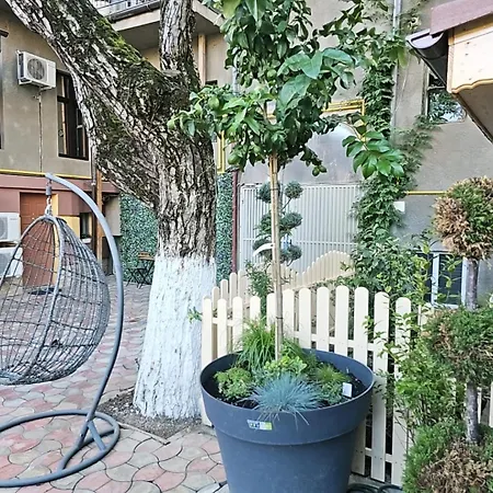 Diamond Rezidente Iii * Timişoara